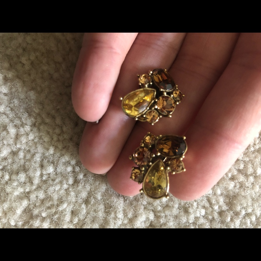 Monet Clip on Earrings